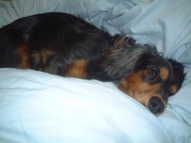 寝ちゃおっと。。。