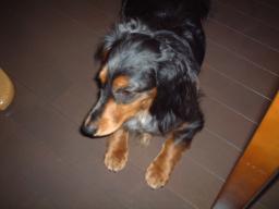 そんなこといわれても・・・