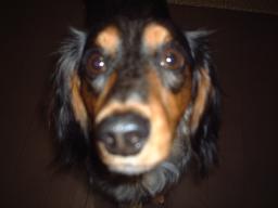 ぼく、なんかわるいことした？