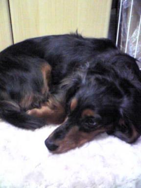 いらないもん。。。