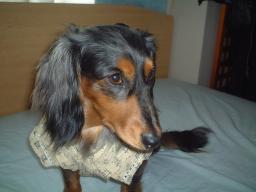 いつまでやる気？JPG