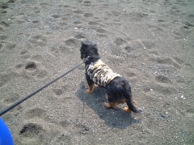 海・・・ですか？