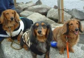 ちょっとまぶしいです。