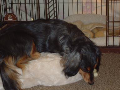 疲れましたー。。。