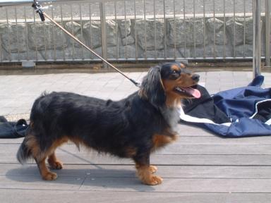 楽しいですね！