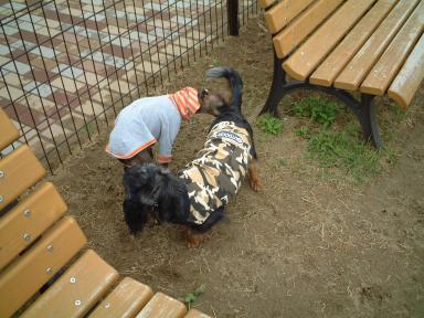 くんくん・・・