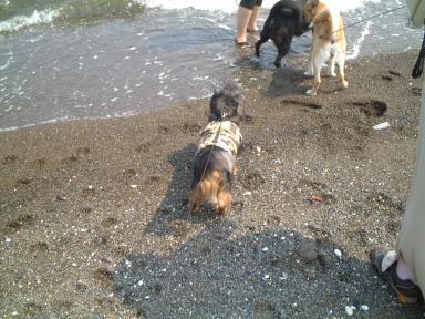 大丈夫なのですか？