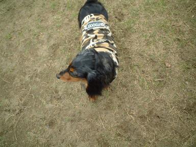 あれ？みんなは？