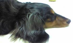 どーだっていいじゃん。。。