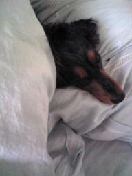 布団にもぐる。