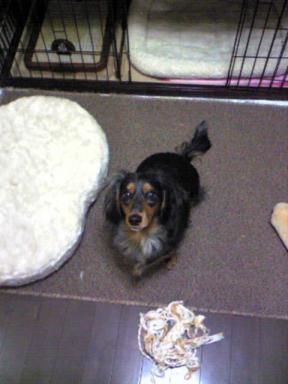 ママとおいです・・・