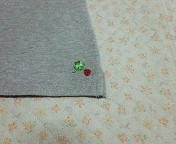 てんとう虫と歩こう