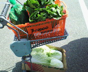 長野～山梨　信州ぶらり