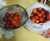 夏をいただきましたァ