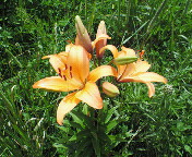 長野～山梨　信州ぶらり