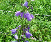 長野～山梨　信州ぶらり