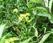 長野～山梨　信州ぶらり