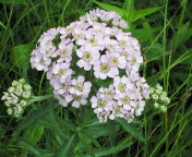 長野～山梨　信州ぶらり