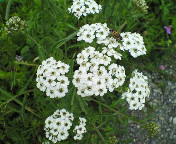 長野～山梨　信州ぶらり
