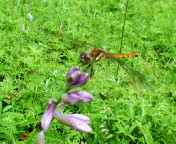 長野～山梨　信州ぶらり