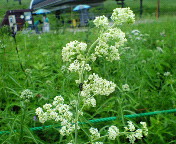 長野～山梨　信州ぶらり