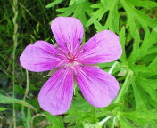 長野～山梨　信州ぶらり