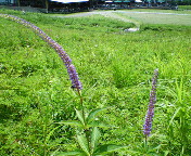 長野～山梨　信州ぶらり