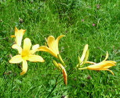 長野～山梨　信州ぶらり