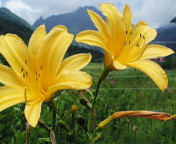 長野～山梨　信州ぶらり