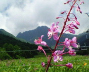 長野～山梨　信州ぶらり