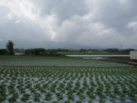 長野～山梨　信州ぶらり