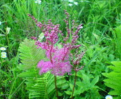 長野～山梨　信州ぶらり
