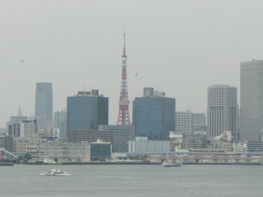 虹橋から東京タワーを望む.jpg