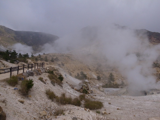 R0028561.JPG