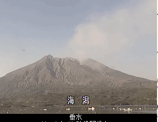 1127-tarumi
