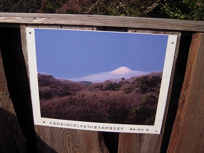DSCN0293.jpg