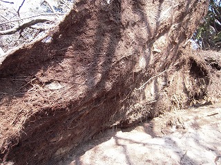 DSCN0301.jpg