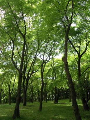 DSCN5381.JPG