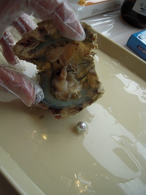 DSCN7330.jpg