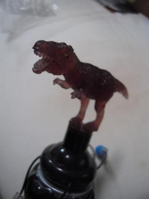 DSCN6199.JPG