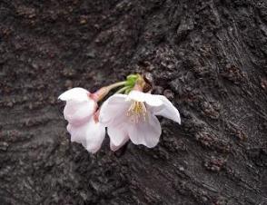 DSCN8476.jpg
