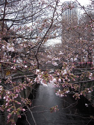 DSCN8477.jpg