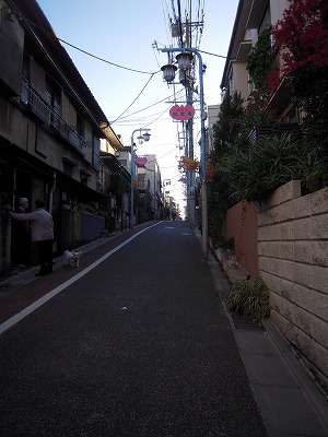 DSCN7591.jpg