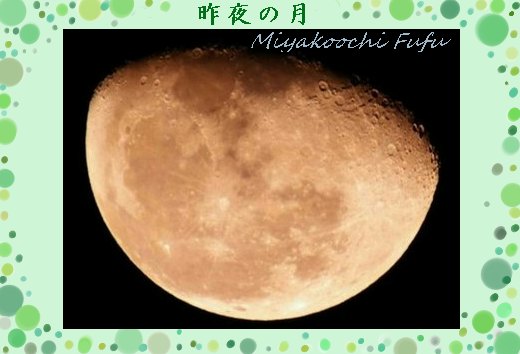 昨夜の月1206.jpg