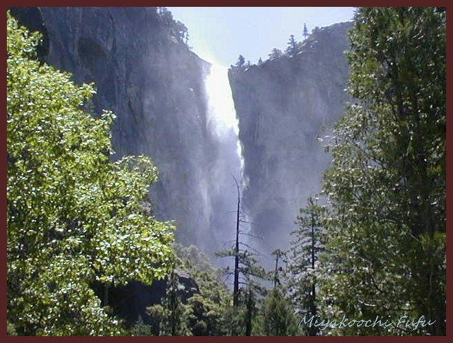 ウェディングヴェールフォール