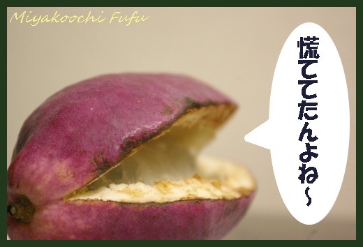 ねぇ、もっとこっちに来てぇ♪もっと♪もっとよ♪