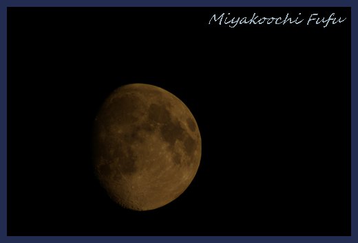 クレーターの陰影がくっきり出たかな？