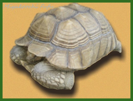 こんなのが家にいたら……