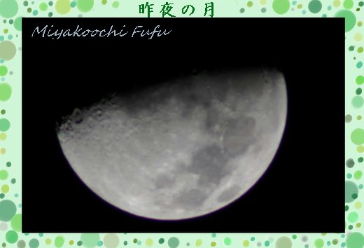 0125昨夜の月.jpg