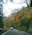 箱根　山道